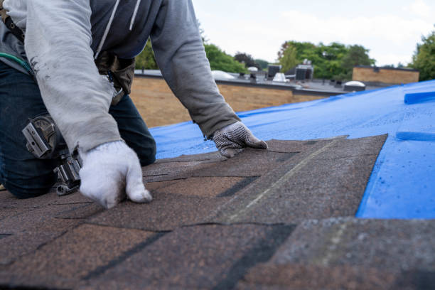 Best Shingle Roofing Installation  in Ridgeway, VA