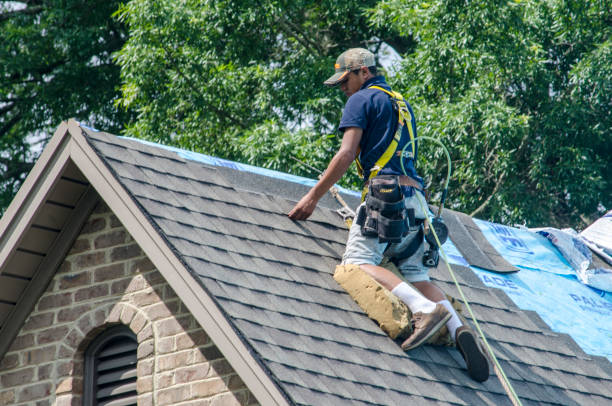 Best Gutter Installation and Roofing  in Ridgeway, VA